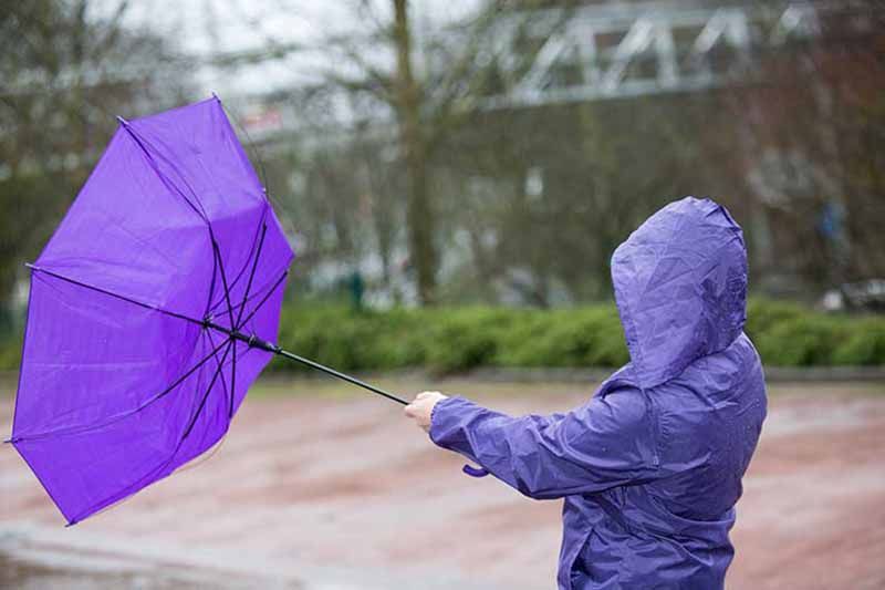 Protección Civil y Emergencias alerta por temporal de fuertes vientos en tierra y mar, así como precipitaciones abundantes 1