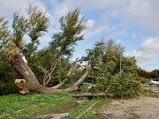 EL 1-1-2 HA ATENDIDO MÁS DE 770 LLAMADAS RELACIONADAS CON RACHAS FUERTES DE VIENTO HASTA LAS 19:00 HORAS