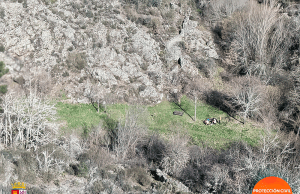 EL GRUPO DE RESCATE DE LA JUNTA DE CASTILLA Y LEÓN AUXILIA A UNA MUJER HERIDA EN ALCAÑICES (ZAMORA)
