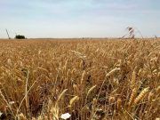 El Gobierno publica la orden de módulos con una rebaja general del 15 % en el IRPF 2023 para 60.000 agricultores y ganaderos en Castilla y León