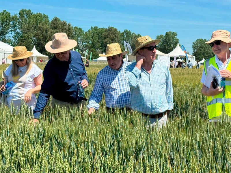 Agricultura, Ganadería y Desarrollo Rural apuesta por la innovación como la mejor forma de atraer a los jóvenes al campo 1