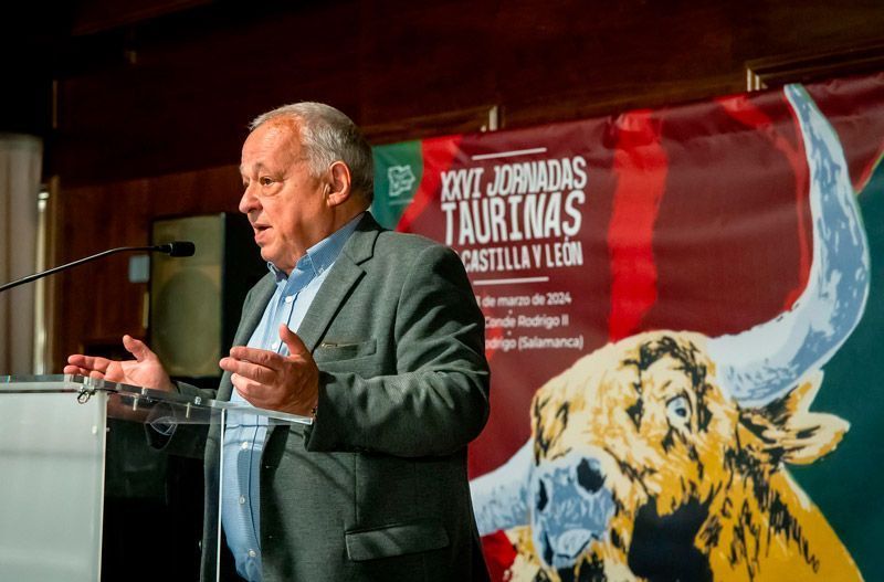 La Consejería de Cultura, Turismo y Deporte, dispuesta a asumir el Premio Nacional de Tauromaquia junto a otras comunidades autónomas tras su eliminación por parte del Ministerio de Cultura 1