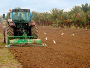 La Junta facilitará a los agricultores y ganaderos el resultado del control preliminar sobre las parcelas declaradas
