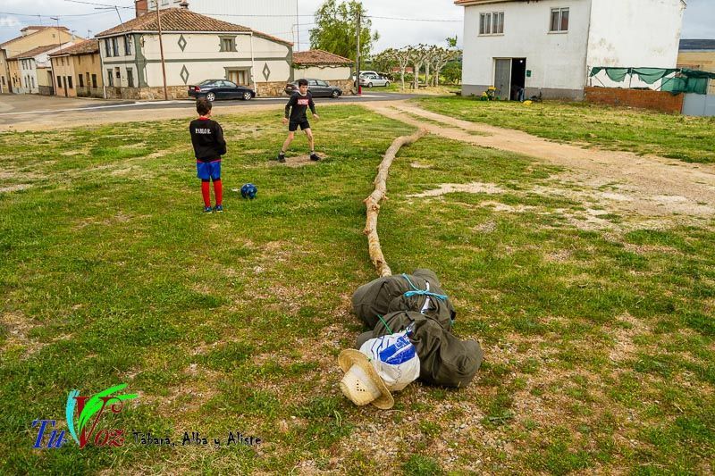 Los Quintos de Tábara Reviven una Tradición Centenaria Plantando el Mayo en el Parque de la Cañada 6
