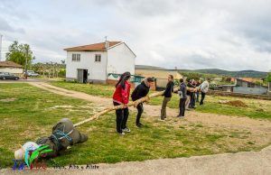 Los Quintos de Tábara Reviven una Tradición Centenaria Plantando el Mayo en el Parque de la Cañada