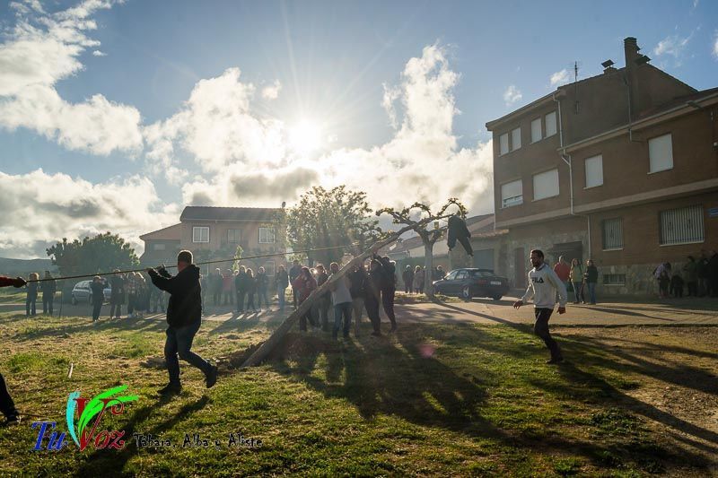Los Quintos de Tábara Reviven una Tradición Centenaria Plantando el Mayo en el Parque de la Cañada 15