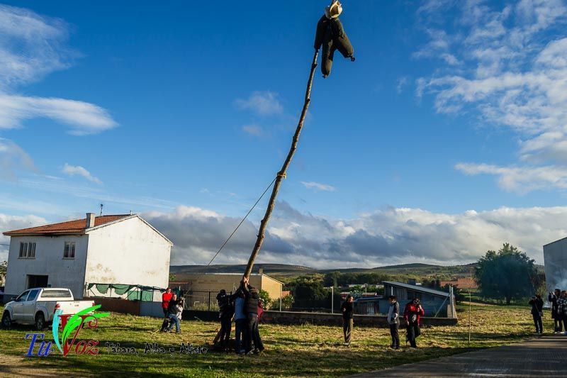 Los Quintos de Tábara Reviven una Tradición Centenaria Plantando el Mayo en el Parque de la Cañada 16