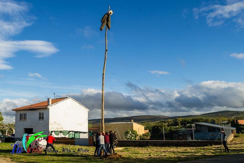 Los Quintos de Tábara Reviven una Tradición Centenaria Plantando el Mayo en el Parque de la Cañada 18