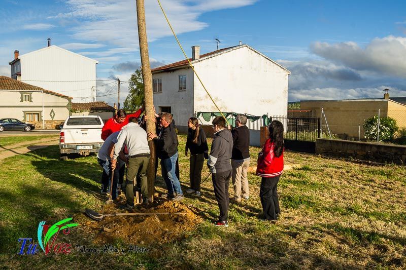 Los Quintos de Tábara Reviven una Tradición Centenaria Plantando el Mayo en el Parque de la Cañada 20