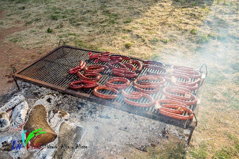 Los Quintos de Tábara Reviven una Tradición Centenaria Plantando el Mayo en el Parque de la Cañada 27