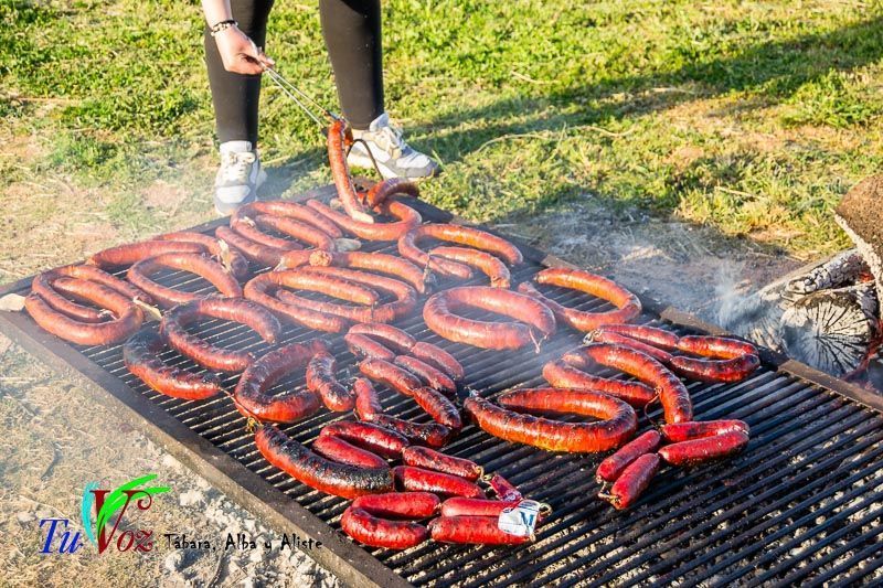 Los Quintos de Tábara Reviven una Tradición Centenaria Plantando el Mayo en el Parque de la Cañada 25