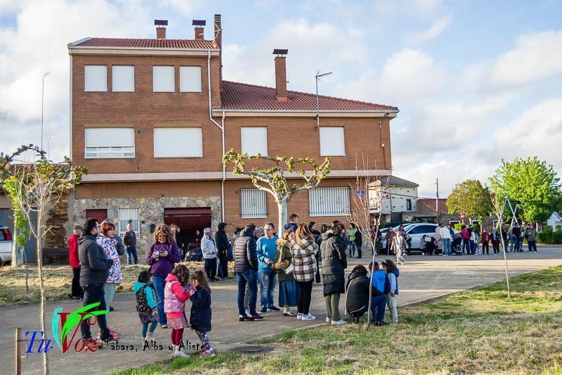 Los Quintos de Tábara Reviven una Tradición Centenaria Plantando el Mayo en el Parque de la Cañada 31