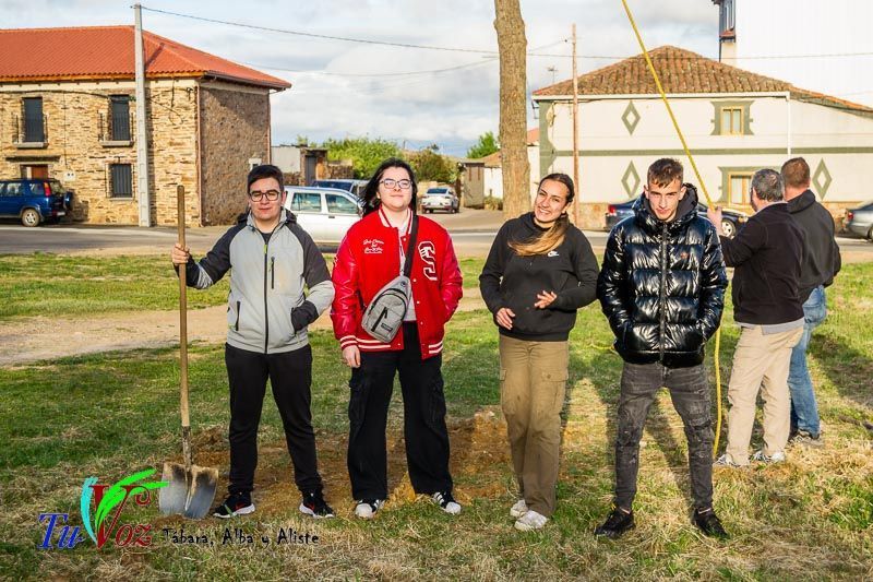 Los Quintos de Tábara Reviven una Tradición Centenaria Plantando el Mayo en el Parque de la Cañada 42