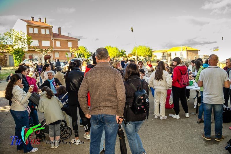 Los Quintos de Tábara Reviven una Tradición Centenaria Plantando el Mayo en el Parque de la Cañada 36