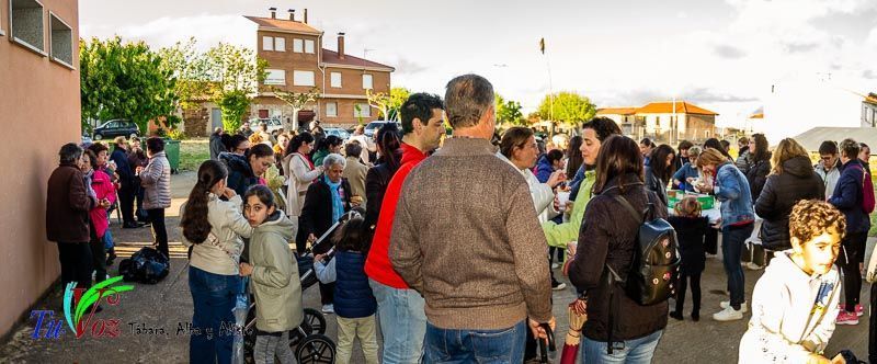 Los Quintos de Tábara Reviven una Tradición Centenaria Plantando el Mayo en el Parque de la Cañada 45