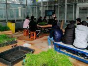 Agricultura, Ganadería y Desarrollo Rural premia la excelencia de los alumnos de FP agrarias con prácticas remuneradas en el Itacyl