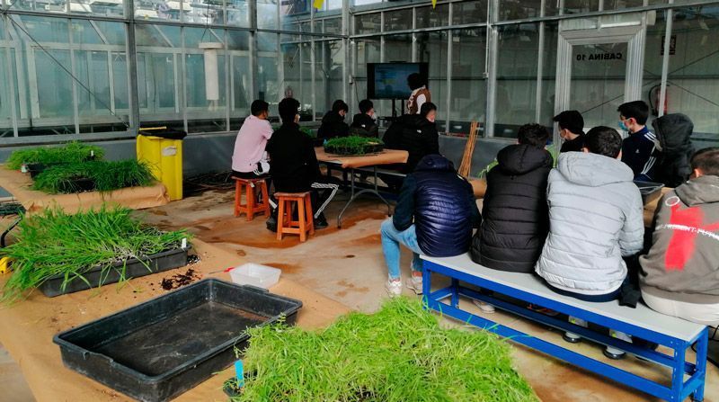 Agricultura, Ganadería y Desarrollo Rural premia la excelencia de los alumnos de FP agrarias con prácticas remuneradas en el Itacyl 1