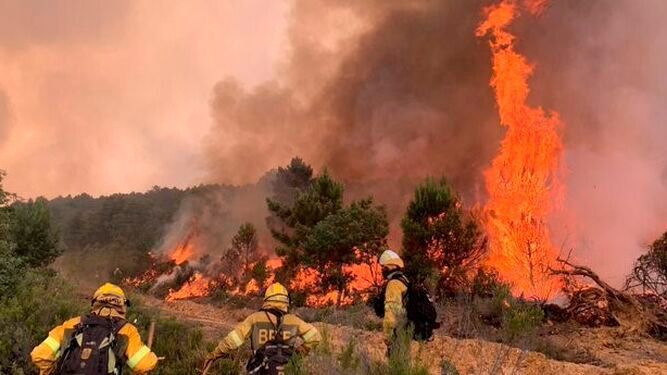 La Junta declara peligro medio de incendios forestales del 7 al 11 de junio 1