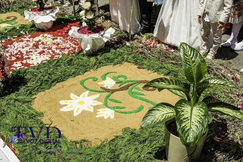 La Fiesta del Corpus en Tábara: Una Celebración Anclada en la Devoción y la Tradición 42
