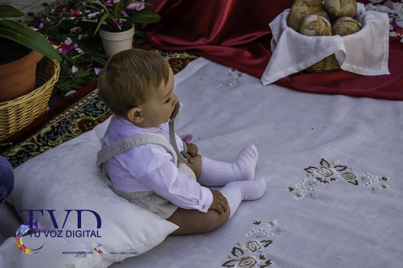 La Fiesta del Corpus en Tábara: Una Celebración Anclada en la Devoción y la Tradición 43