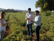 Agricultura, Ganadería y Desarrollo Rural confirma el alto grado de cumplimiento de sus compromisos y promoverá un nuevo enfoque de la política agraria, consensuado con el sector