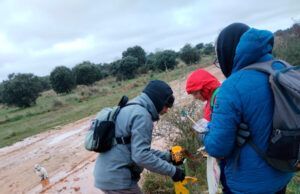 ACCIDENTE N-631 CON PEREGRINOS AFECTADOS