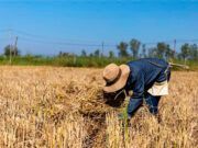 El Ministerio de Agricultura, Pesca y Alimentación asigna 18,74 millones de euros de la reserva nacional de ayuda básica a la renta para la sostenibilidad
