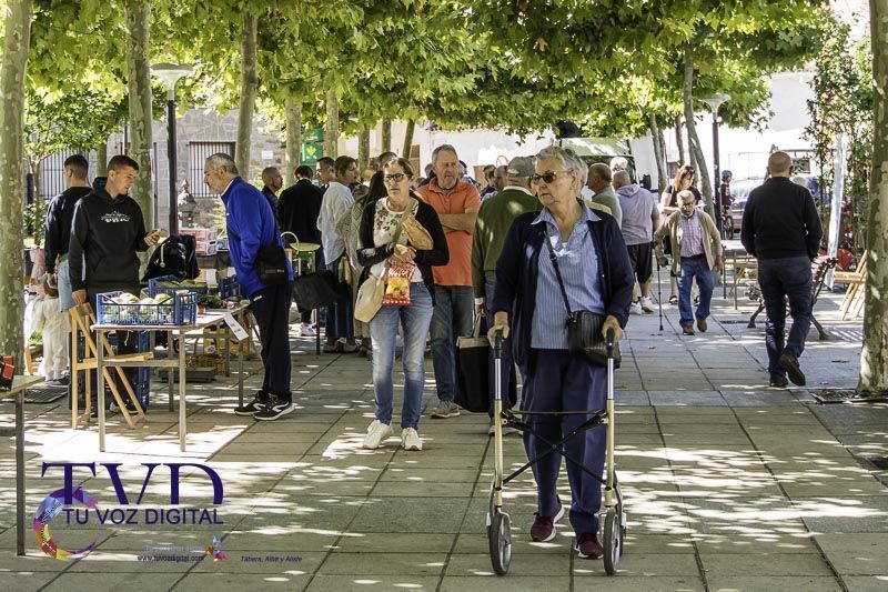 La Feria del Tomate en Tábara: Un Festival de Sabor y Tradición 5