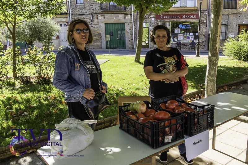 La Feria del Tomate en Tábara: Un Festival de Sabor y Tradición 8