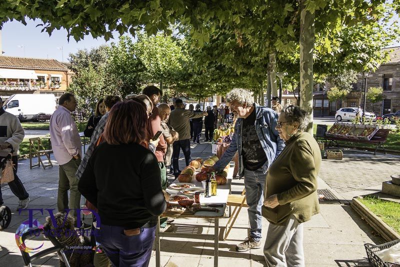 La Feria del Tomate en Tábara: Un Festival de Sabor y Tradición 7
