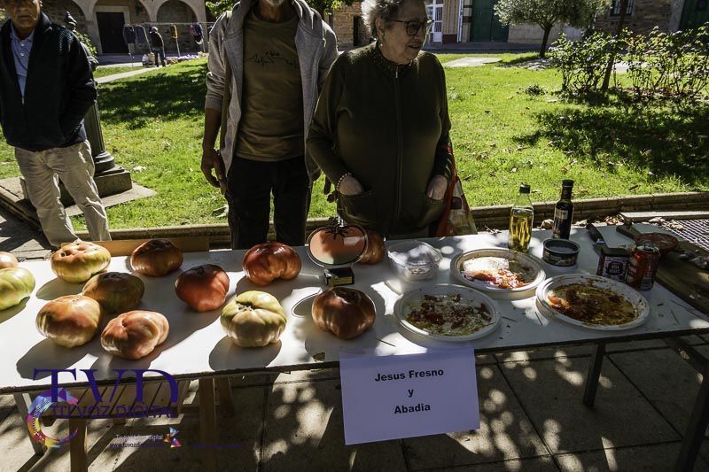 La Feria del Tomate en Tábara: Un Festival de Sabor y Tradición 9