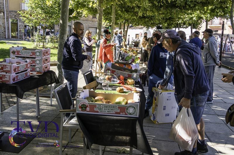 La Feria del Tomate en Tábara: Un Festival de Sabor y Tradición 11