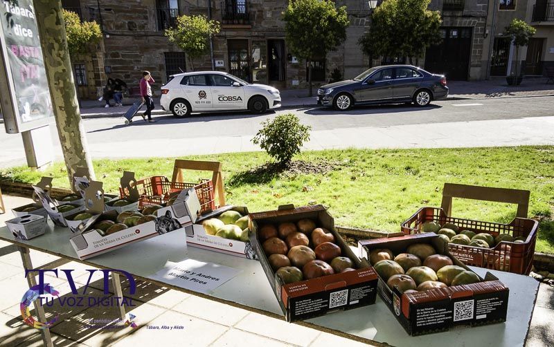 La Feria del Tomate en Tábara: Un Festival de Sabor y Tradición 12