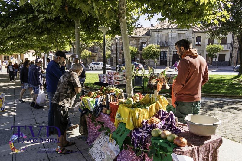 La Feria del Tomate en Tábara: Un Festival de Sabor y Tradición 1