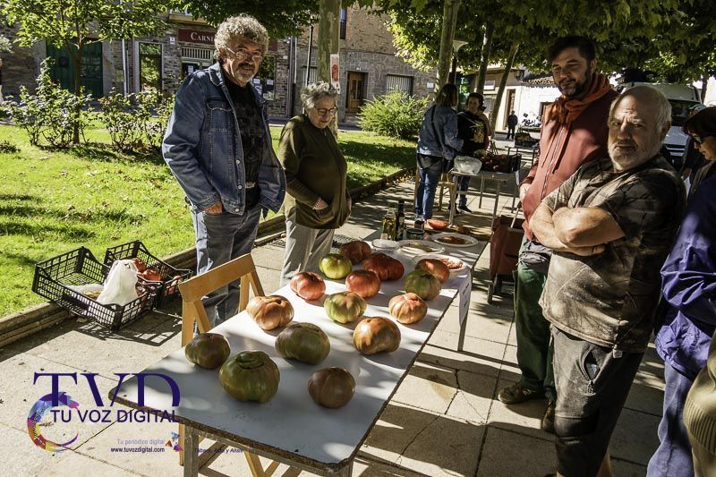 La Feria del Tomate en Tábara: Un Festival de Sabor y Tradición 19