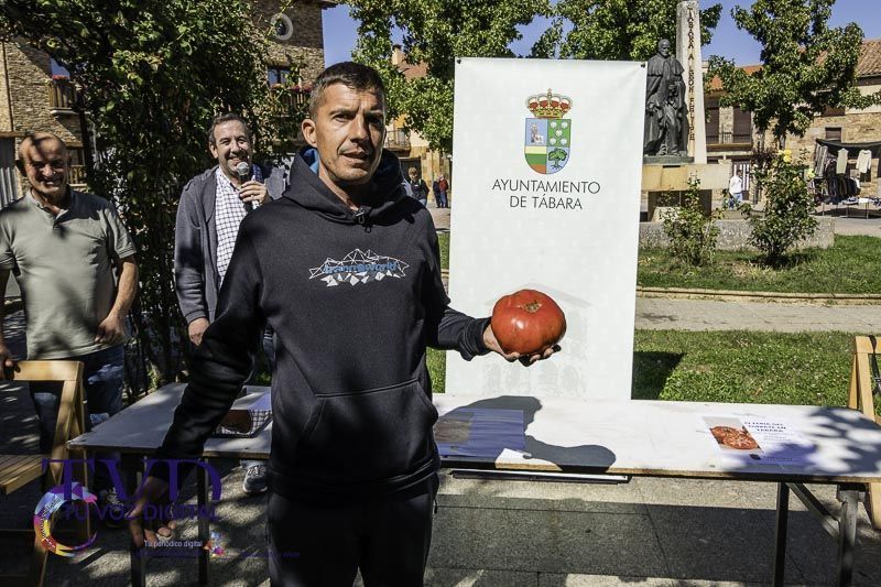 La Feria del Tomate en Tábara: Un Festival de Sabor y Tradición 21