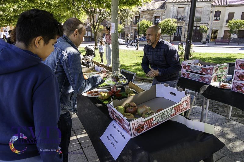 La Feria del Tomate en Tábara: Un Festival de Sabor y Tradición 23