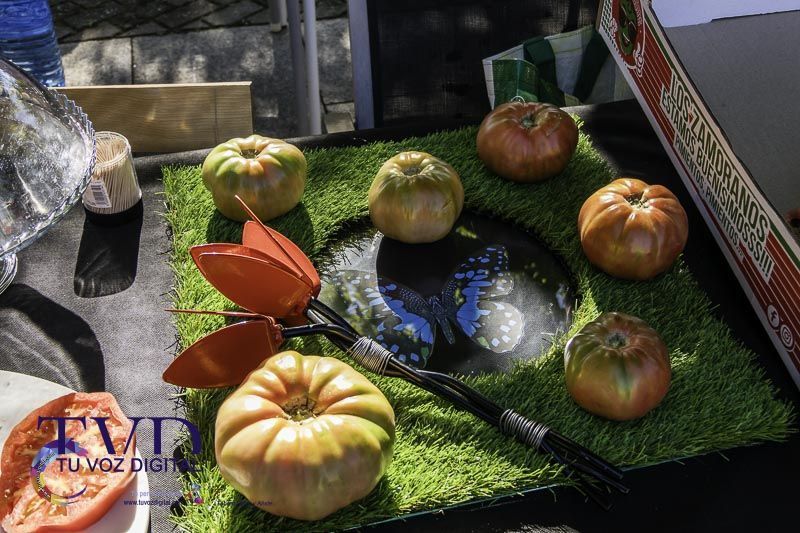 La Feria del Tomate en Tábara: Un Festival de Sabor y Tradición 25