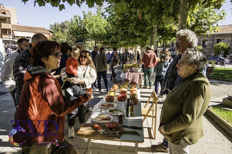 La Feria del Tomate en Tábara: Un Festival de Sabor y Tradición 26