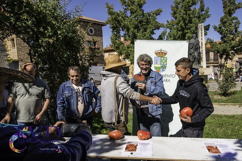 La Feria del Tomate en Tábara: Un Festival de Sabor y Tradición 4