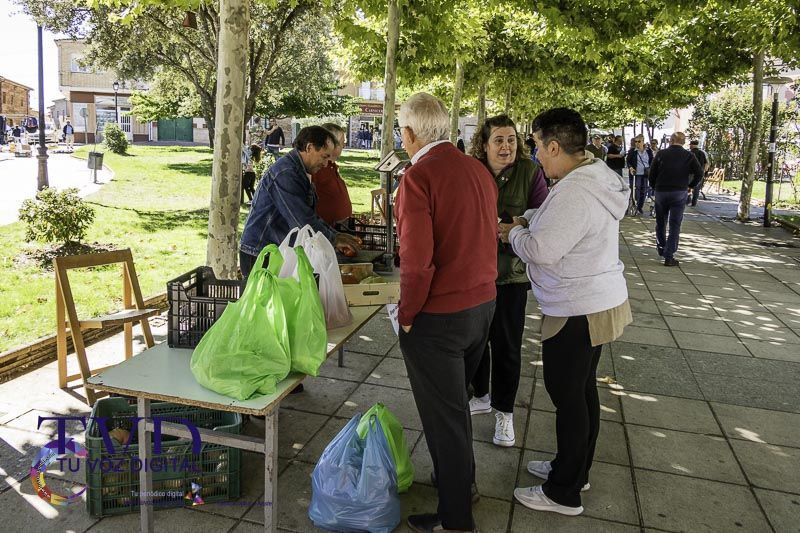 La Feria del Tomate en Tábara: Un Festival de Sabor y Tradición 29