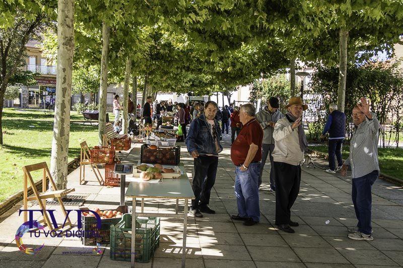 La Feria del Tomate en Tábara: Un Festival de Sabor y Tradición 31