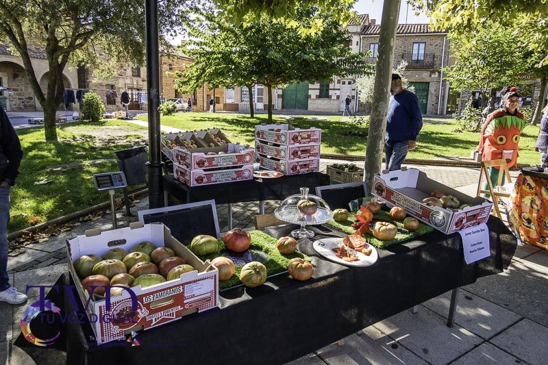 La Feria del Tomate en Tábara: Un Festival de Sabor y Tradición 32