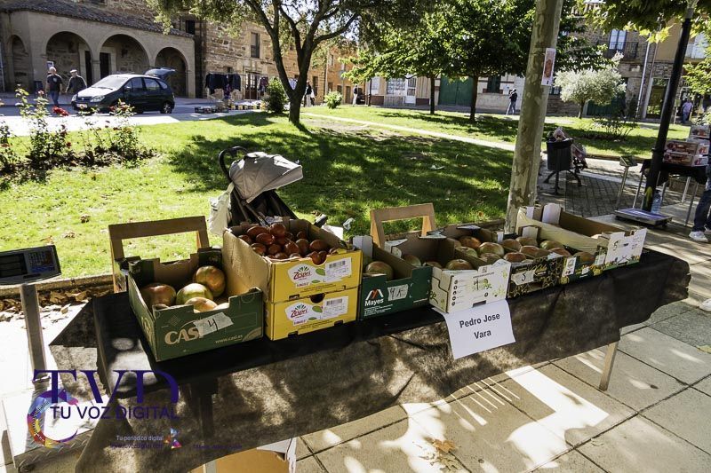 La Feria del Tomate en Tábara: Un Festival de Sabor y Tradición 35