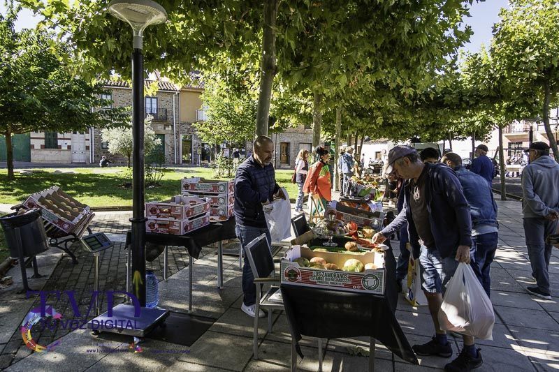 La Feria del Tomate en Tábara: Un Festival de Sabor y Tradición 34