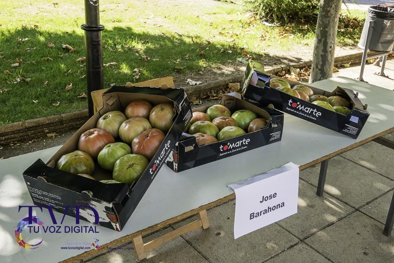 La Feria del Tomate en Tábara: Un Festival de Sabor y Tradición 33