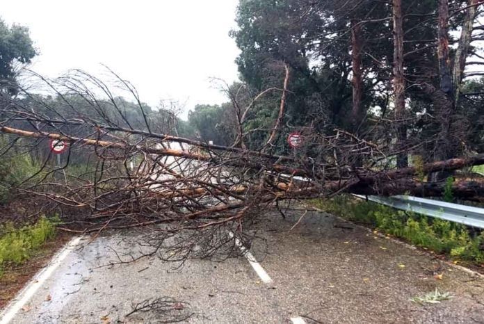 AMPLIACIÓN.- Ocho personas han resultado heridas en distintos incidentes relacionados con el viento en Castilla y León 1