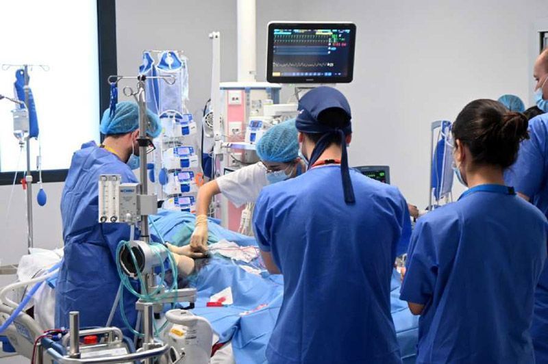 Castilla y León suma 94 donantes de órganos y 309 trasplantes entre enero y septiembre 1