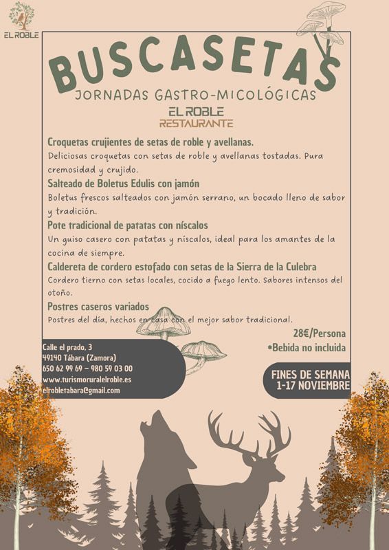 El Restaurante El Roble de Tábara Celebra unas Jornadas Gastro-Micológicas de Sabores Otoñales 1
