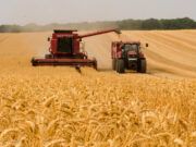 Los agricultores y ganaderos de Castilla y León perciben 661,6 millones de euros en pagos anticipados de las ayudas directas de la PAC